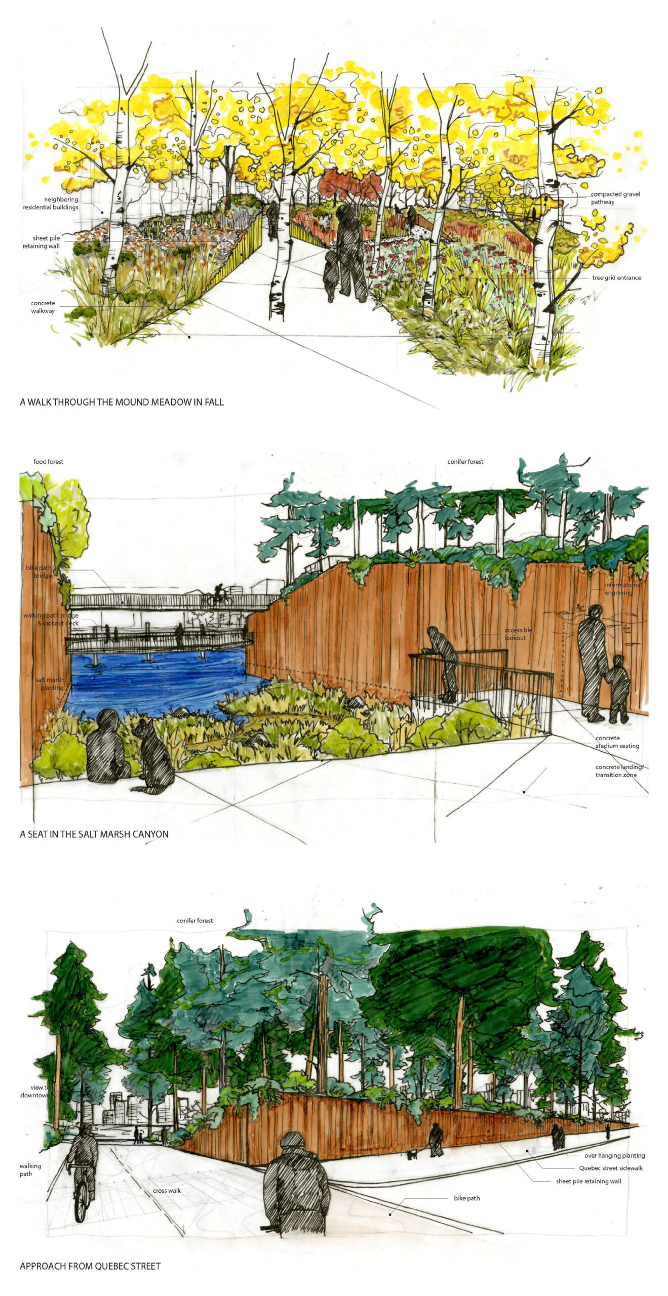 This image has an empty alt attribute, its filename is Group8_Digital_Submission_Carve_Park_BARNARD_EVANS_MIRZA_Page_36_01-scaled.jpg